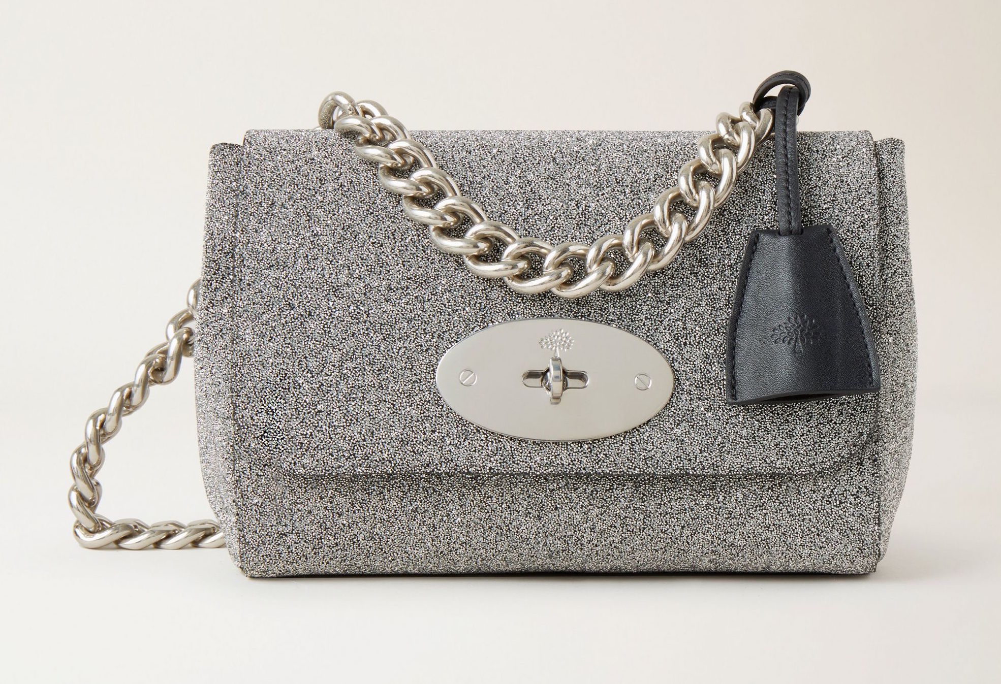 Mulberry Lily Bag Ultimate Buying Guide – Every Size, Style & More